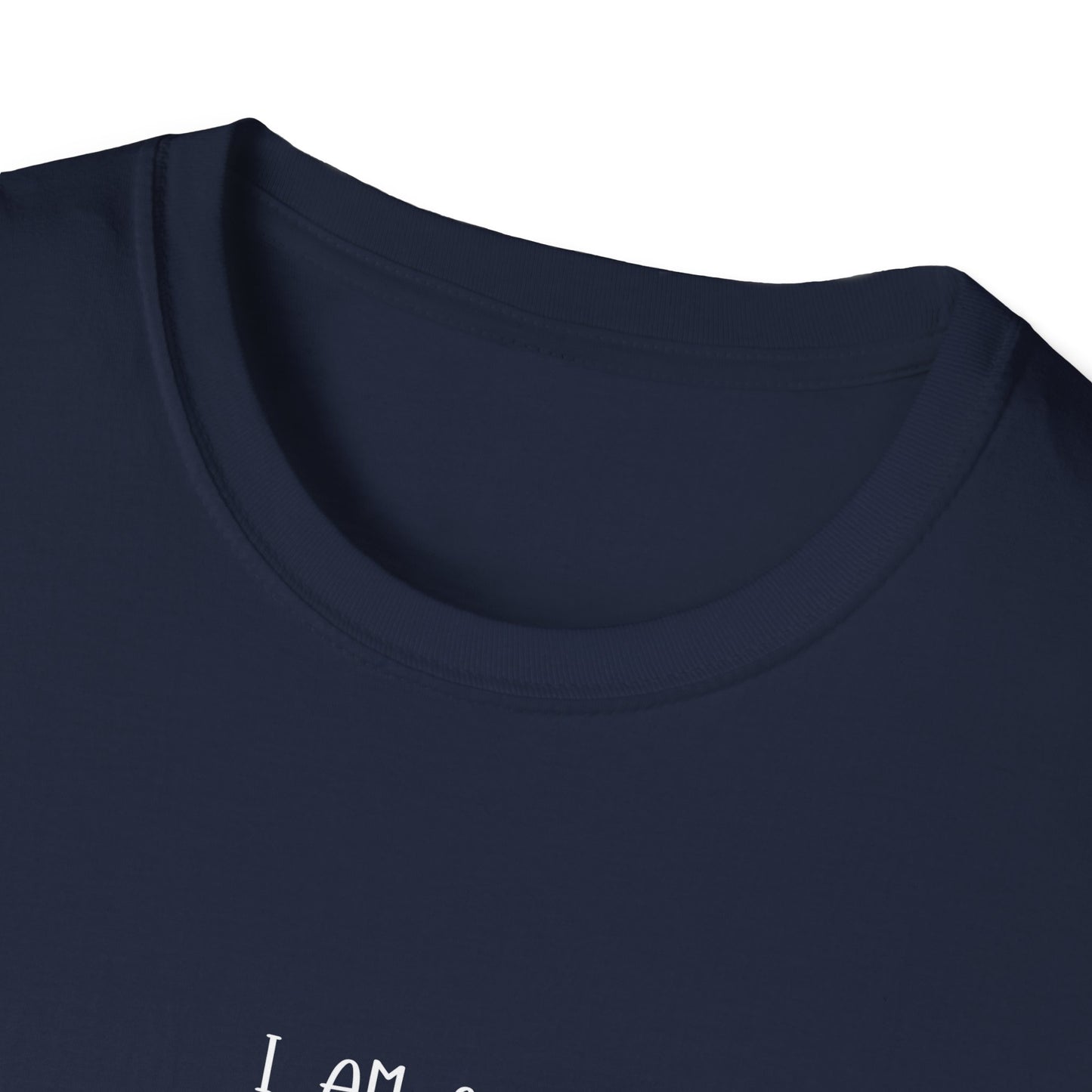 Mentally Stable Unisex T-Shirt, Funny Quote Tee, Gift for Friends, Casual Wear, Self-Care Apparel, Relaxed Fit
