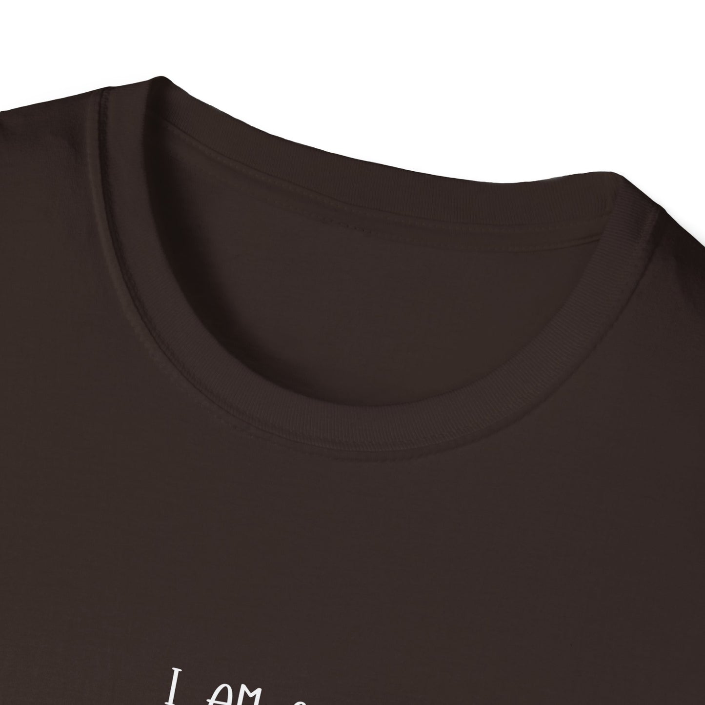 Mentally Stable Unisex T-Shirt, Funny Quote Tee, Gift for Friends, Casual Wear, Self-Care Apparel, Relaxed Fit