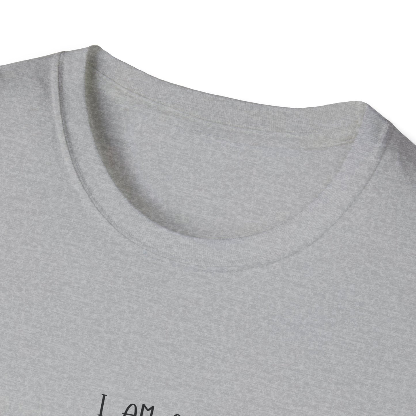 Mentally Stable Unisex T-Shirt, Funny Quote Tee, Gift for Friends, Casual Wear, Self-Care Apparel, Relaxed Fit