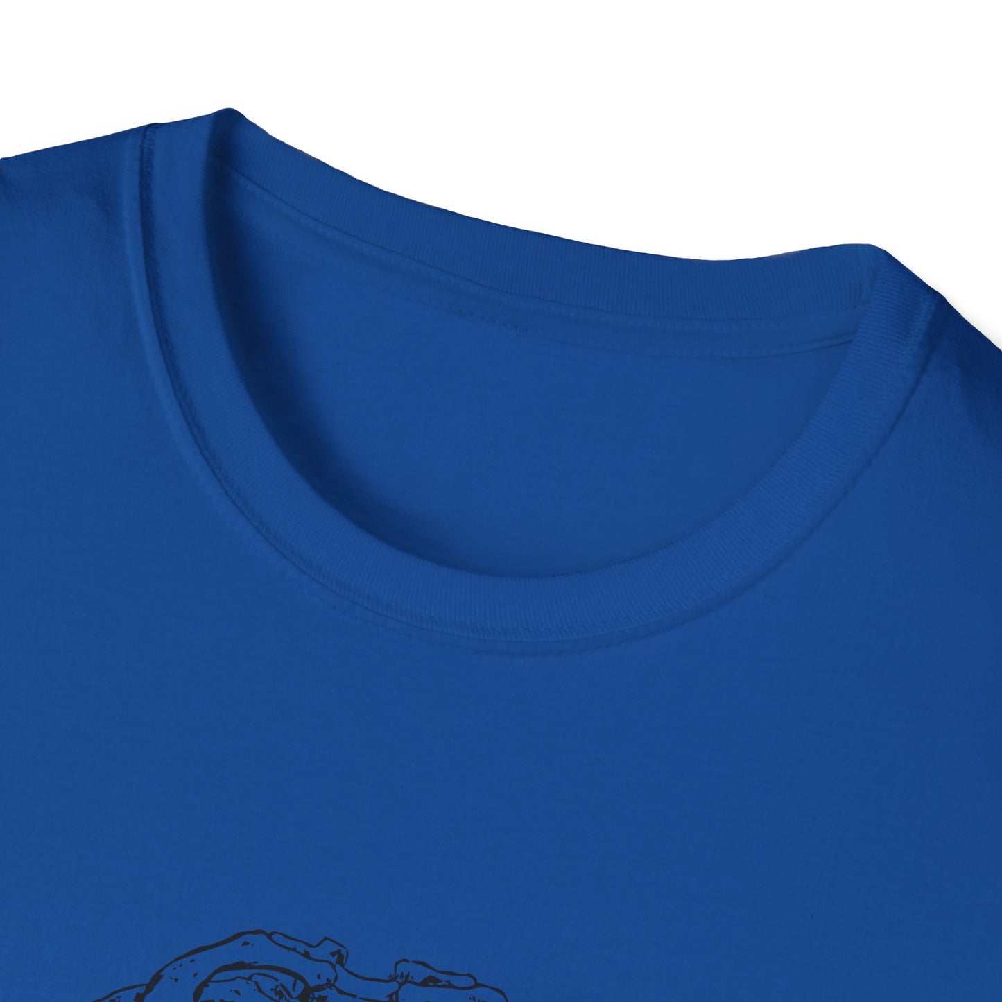 Heart in Ribcage Unisex Softstyle T-Shirt, Anatomy Tee, Heartbeat Shirt, Science Lover Gift, Unique Graphic Tee