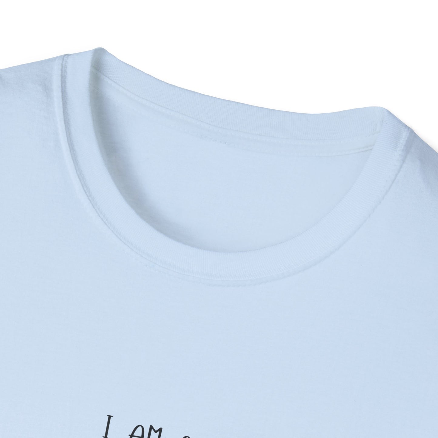 Mentally Stable Unisex T-Shirt, Funny Quote Tee, Gift for Friends, Casual Wear, Self-Care Apparel, Relaxed Fit