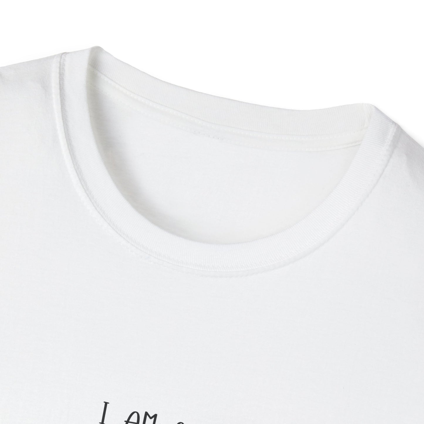 Mentally Stable Unisex T-Shirt, Funny Quote Tee, Gift for Friends, Casual Wear, Self-Care Apparel, Relaxed Fit