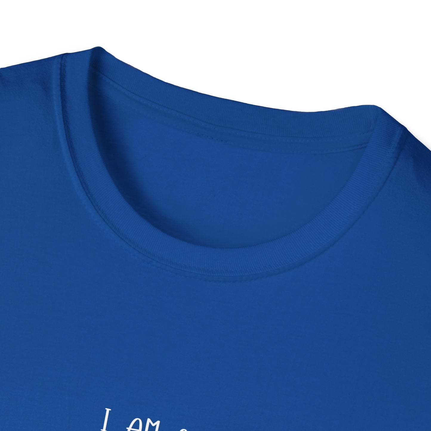 Mentally Stable Unisex T-Shirt, Funny Quote Tee, Gift for Friends, Casual Wear, Self-Care Apparel, Relaxed Fit