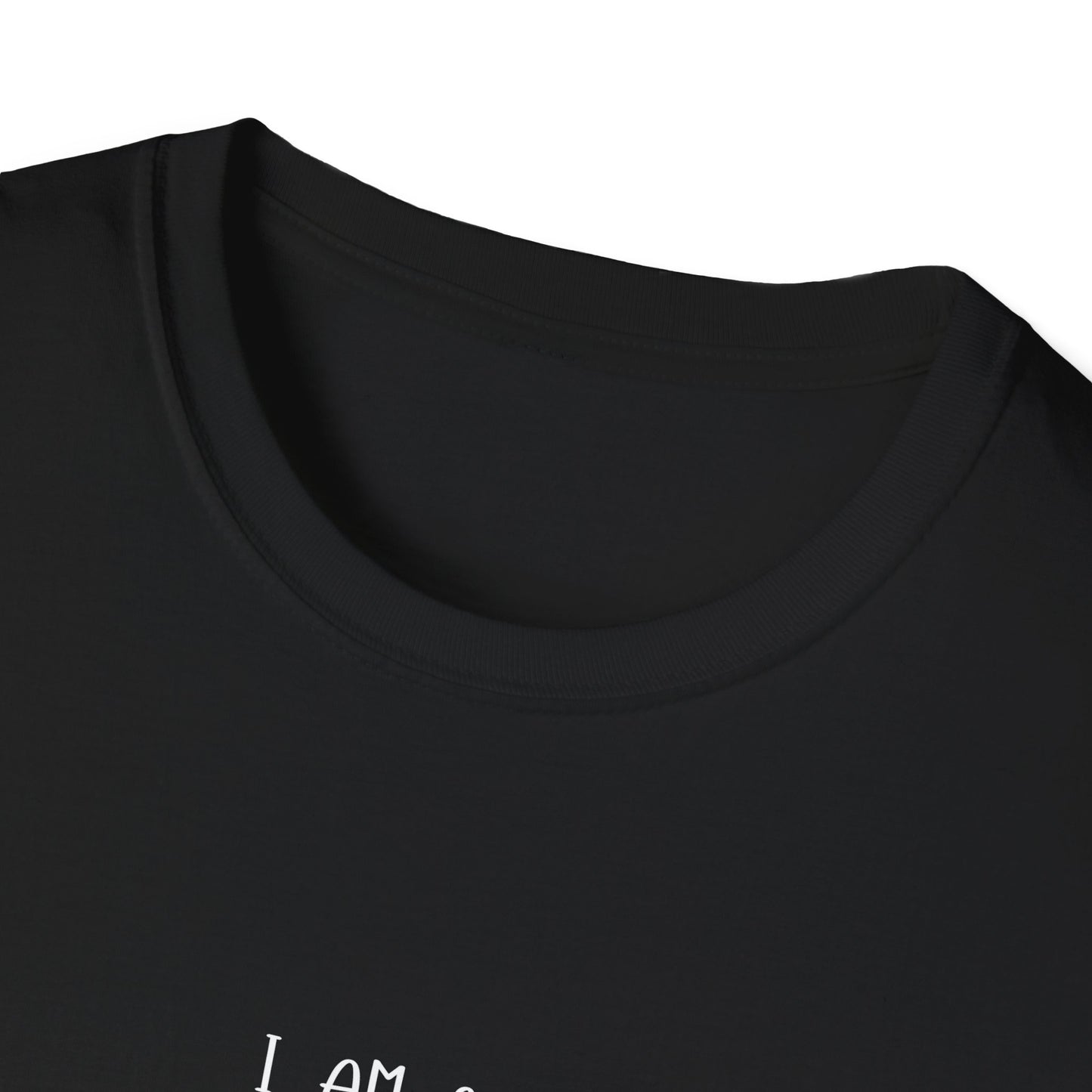 Mentally Stable Unisex T-Shirt, Funny Quote Tee, Gift for Friends, Casual Wear, Self-Care Apparel, Relaxed Fit